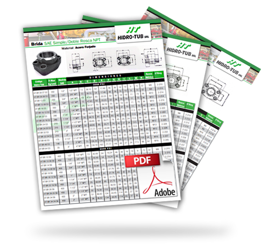 catálogo de Bridas Serie 3000 y 6000